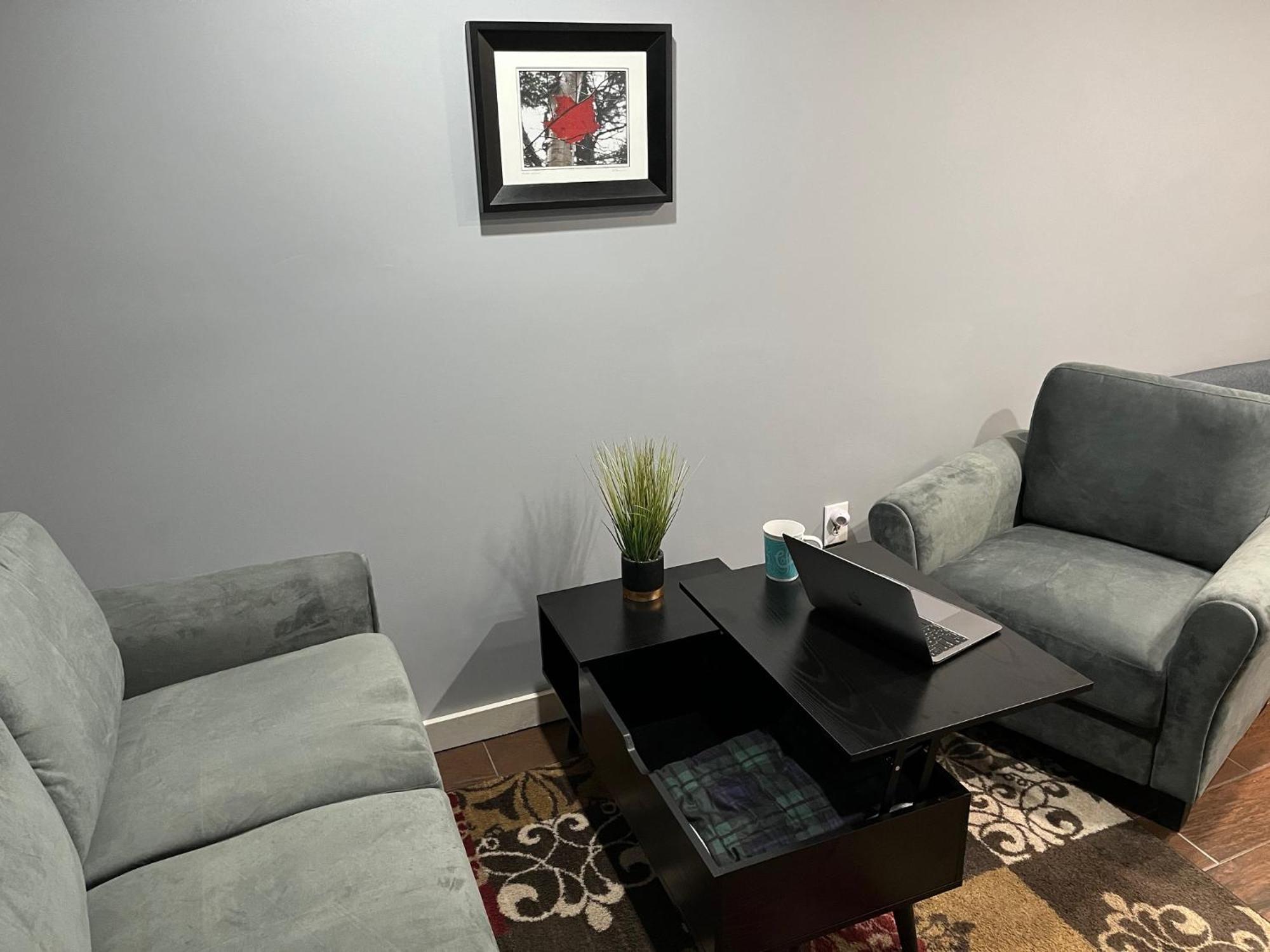 Plush Garden Level Apartment Near Stowe Morristown Exterior photo